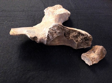 The Search for Alfred the Great