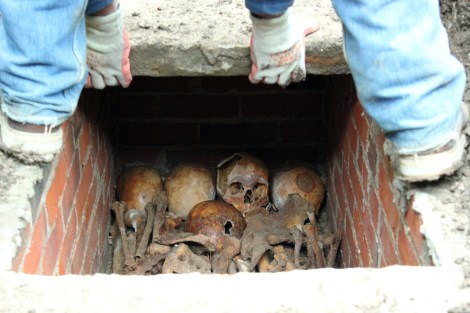 The Search for Alfred the Great