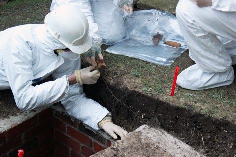 The Search for Alfred the Great