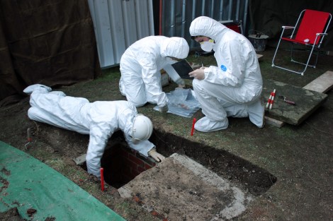 The Search for Alfred the Great